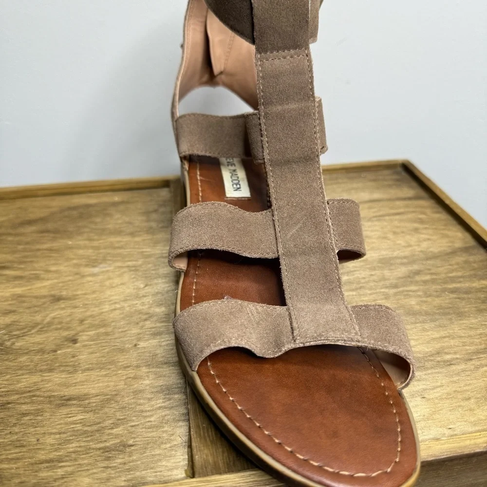 Steve Madden Daviss gladiator sandal in taupe suede